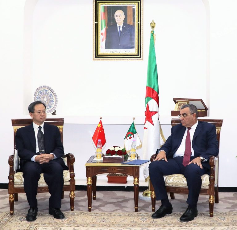 وزير الأشغال العمومية يستقبل نائب رئيس الوكالة الصينية للتعاون الإنمائي الدولي