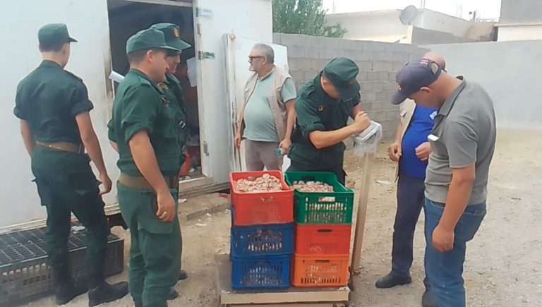 الدرك الوطني بسطيف يحبط عملية ترويج 20 قنطاراً من أحشاء الدجاج الفاسد