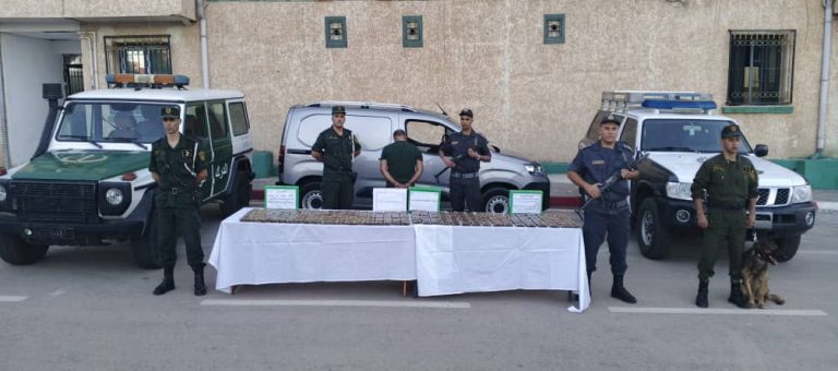 جمارك تيسمسيلت تحجز 32 كلغ من الكيف المعالج وتوقف شخصاً