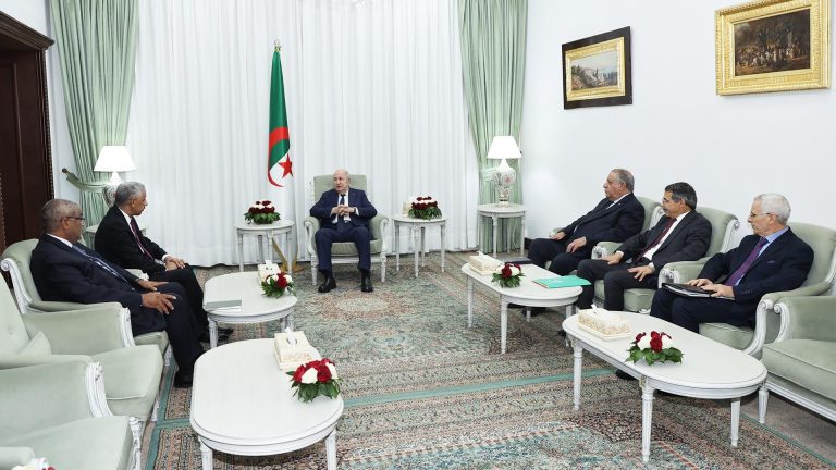 رئيس الجمهورية يستقبل رئيس مجموعة البنك الإفريقي للتنمية