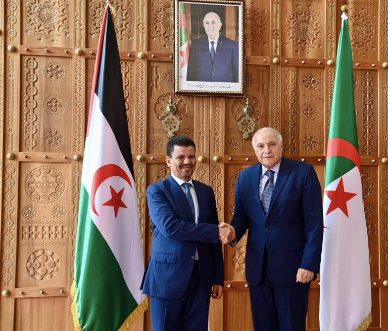 وزير الخارجية يستقبل نظيره الصحراوي ويتباحثان حول مستجدات قضية الصحراء الغربية