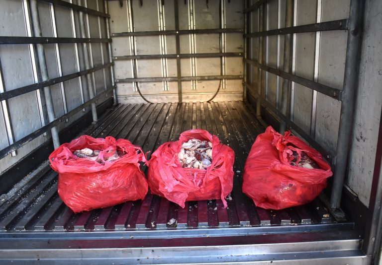 الأمن الحضري الثاني بالبويرة يحجز 70 كلغ من اللحوم الحمراء غير الصالحة للاستهلاك