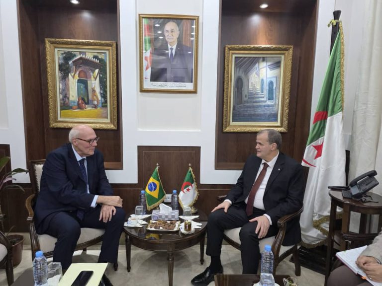 رزيق يلتقي سفير البرازيل لتعزيز العلاقات التجارية وفتح آفاق جديدة للتعاون الاقتصادي