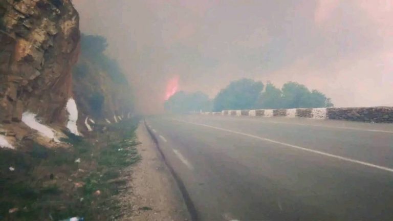 حرائق الغطاء النباتي : تدخل عاجل لإخماد حريق غابة بتيبازة