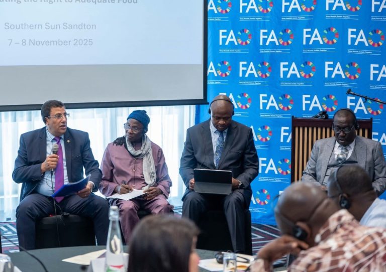 د. فاتح بوطبيق يعرض تجربة الجزائر في الأمن الغذائي خلال ورشة بجنوب إفريقيا