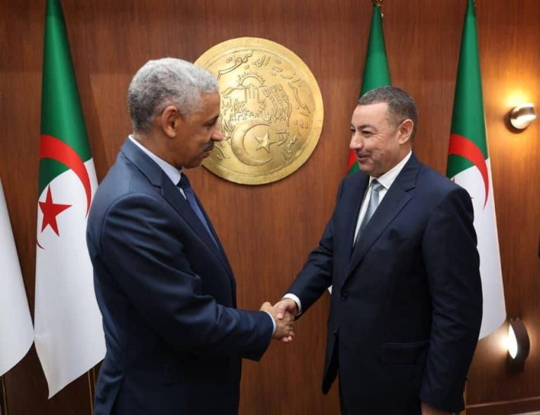 وزير الداخلية يستقبل رئيس مجموعة البنك الإفريقي للتنمية