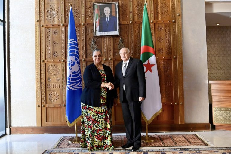 وزير الخارجية يستعرض مع المبعوثة الأممية مستجدات الأوضاع في ليبيا