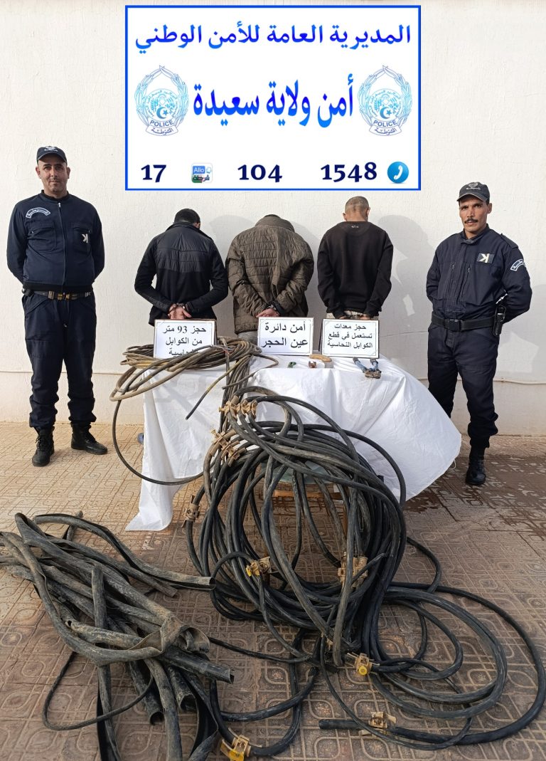 شرطة عين الحجر بسعيدة تفكك جمعية أشرار مختصة في سرقة الكوابل النحاسية
