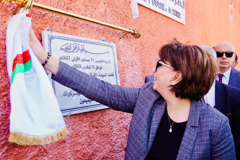 تيميمون تتحول إلى مدينة سينمائية استراتيجية