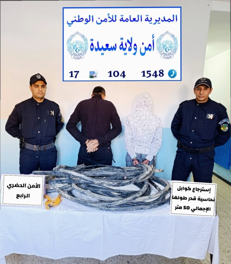 شرطة سعيدة تفكّك جمعية أشرار مختصة في سرقة الكوابل النحاسية