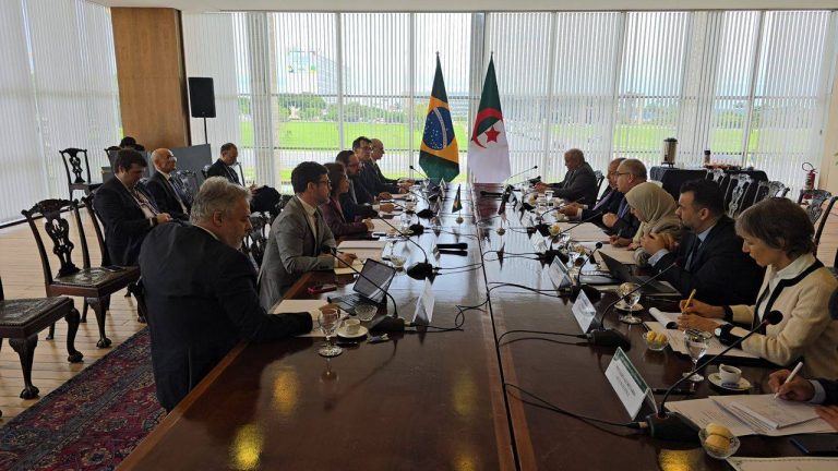 الجزائر والبرازيل تعززان المشاورات السياسية وتوسّعان آفاق الشراكة الاقتصادية