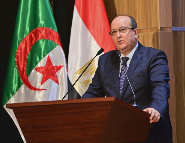 منتدى الأعمال الجزائري-المصري : سيفي غريب يؤكد على تعزيز الشراكات الاقتصادية والاستثمارية