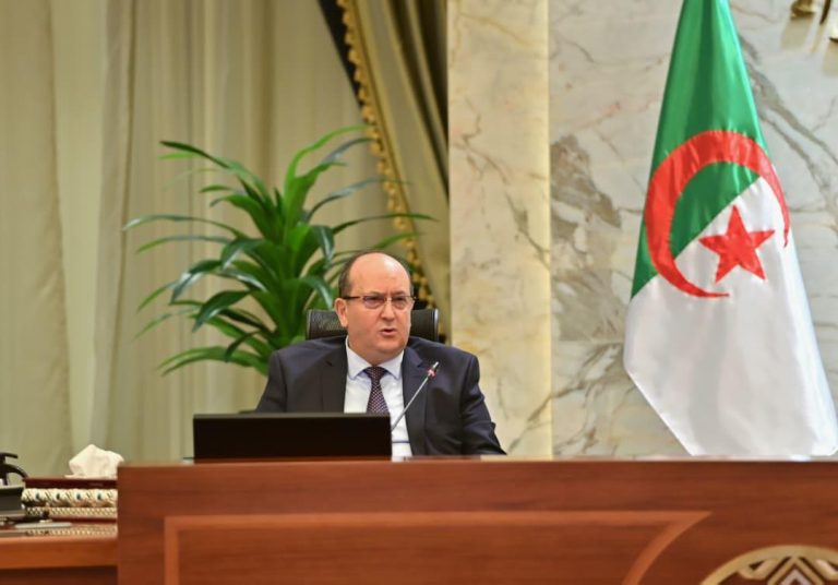 كلمة الوزير الأول في افتتاح الدورة التاسعة للجنة العليا المشتركة الجزائرية-المصرية