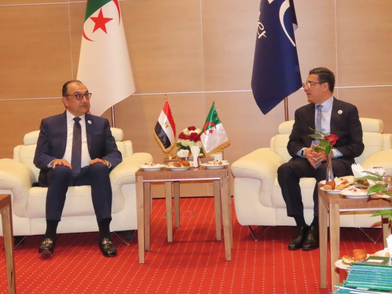 الجزائر ومصر تعززان التعاون الصحي عبر لقاء بين وزير الصحة ووزير قطاع الأعمال المصري