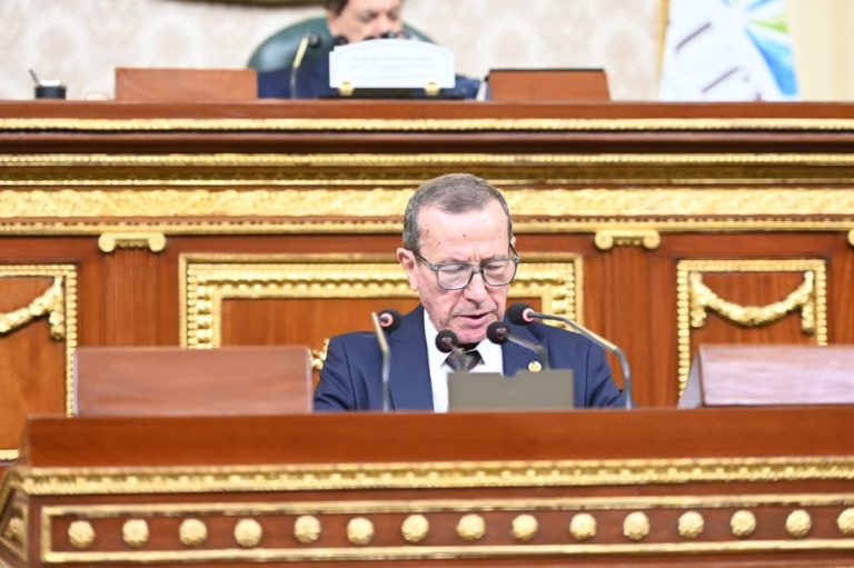 الجزائر تؤكد في قمة القاهرة سعيها إلى توسيع الشراكات الاقتصادية وتعزيز الندية في التعاون