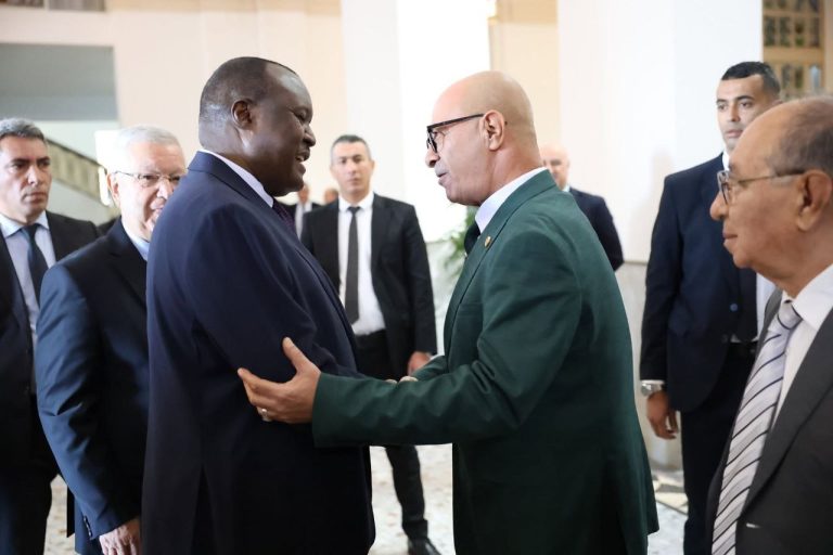 رئيس مجلس الأمة يستقبل رئيس البرلمان الإفريقي لتعزيز التعاون البرلماني