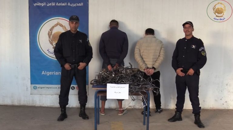 شرطة عنابة تطيح بشخصين في قضية تكوين جمعية أشرار وسرقة ممتلكات عمومية