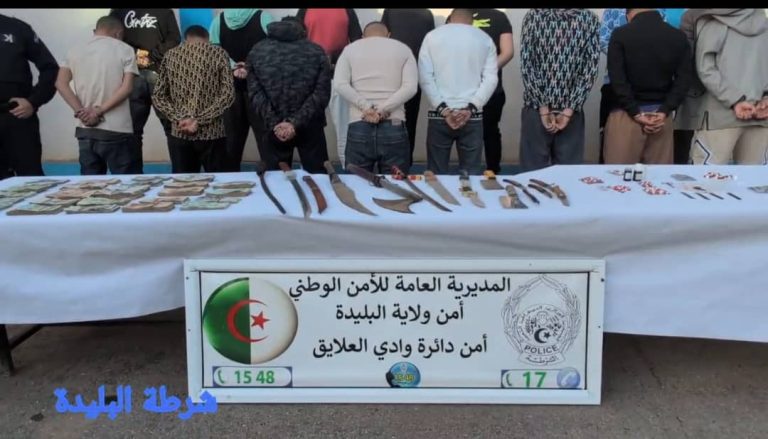 شرطة البليدة تواصل حملاتها ضد عصابات الأحياء حفاظاً على الأمن العام