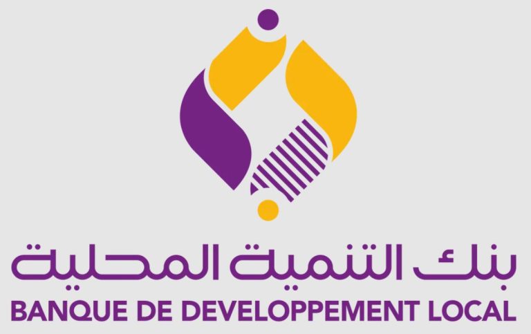 بنك التنمية المحلية يسجل أكثر من سبعة ملايين عملية دفع إلكتروني خلال عشرة أشهر من 2025