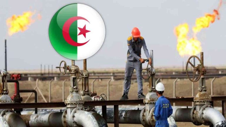 نيجيريا تؤكد التزامها بتعميق التعاون الاستراتيجي مع الجزائر في مجالات الطاقة والأمن والثقافة