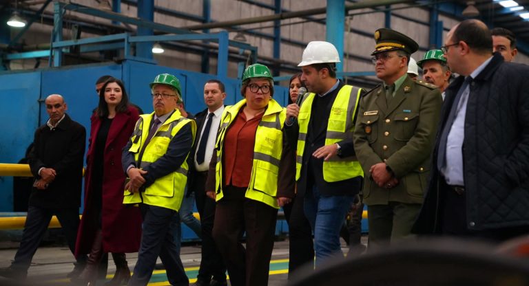 وزيرة التكوين والتعليم المهنيين تقوم بزيارة عمل إلى عين الدفلى لتعزيز التكوين المهني