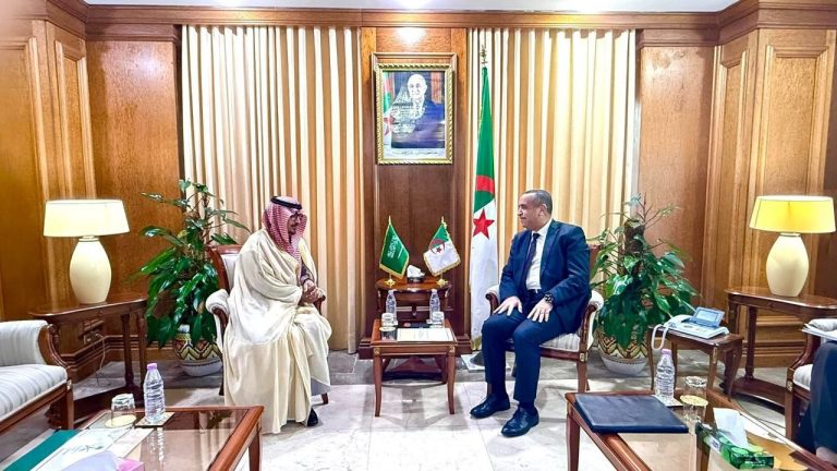 الجزائر: بحث سبل التعاون في مجال الطاقة بين الجزائر والمملكة العربية السعودية