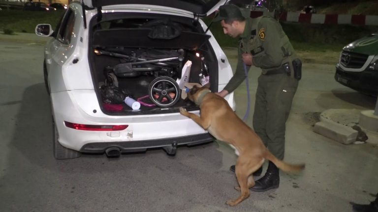 الدرك الوطني يضع مخططاً أمنيًا خاصاً بـمناسبة حلول السنة الميلادية الجديدة