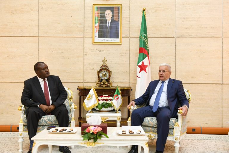 رئيس المجلس الشعبي الوطني يستقبل رئيس البرلمان الإفريقي لتعزيز التعاون البرلماني