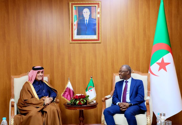 وزير الشباب يستقبل سفير قطر لتعزيز التعاون الثنائي في مجال الشباب