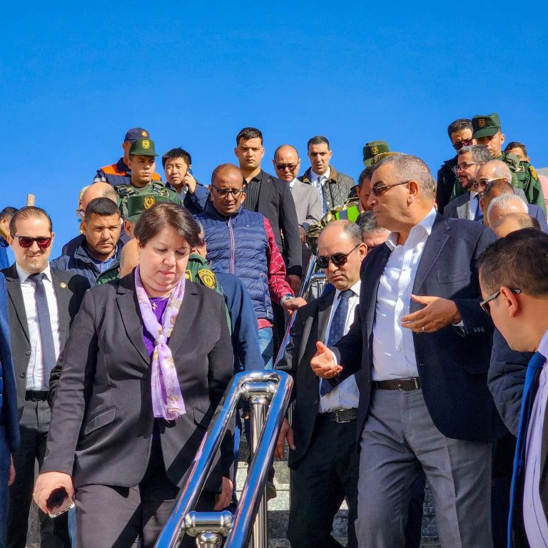 زيارة عمل وتفقد كاتبة الدولة لدى وزير المحروقات والمناجم إلى منجم غارا جبيلات