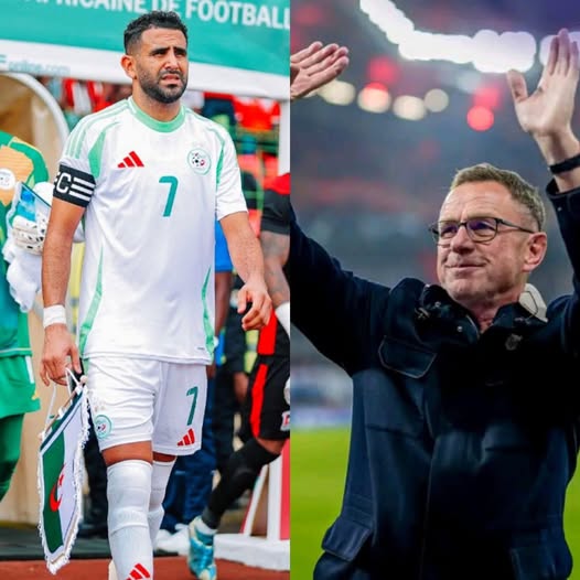 مدرب النمسا يشيد بالمنتخب الجزائري ويؤكد جاهزية فريقه لمواجهة “الخضر”