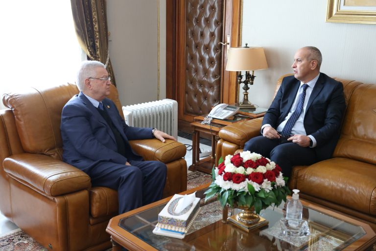 رئيس مجلس الأمة يستقبل رئيس السلطة الوطنية المستقلة للانتخابات بالنيابة