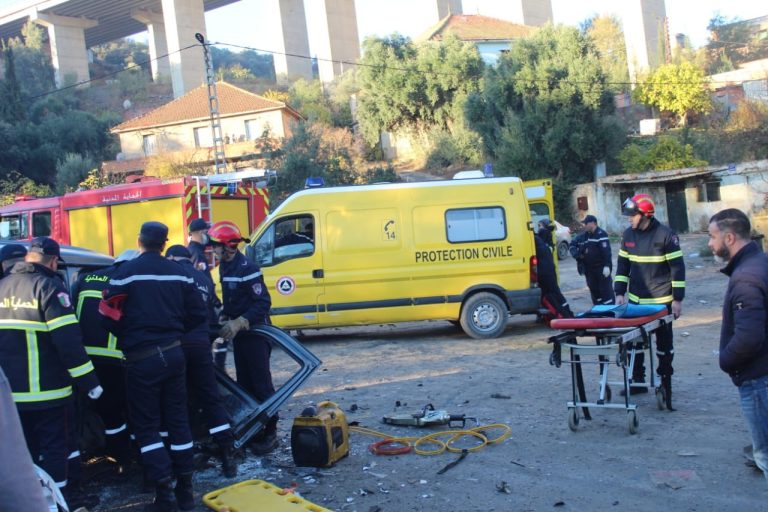 إصابة 13 شخصاً في حادث مرور بولاية المدية