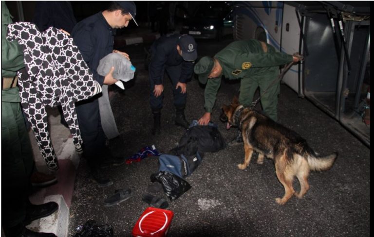 مداهمات واسعة بأمن ولاية جيجل بالتنسيق مع الدرك الوطني لمكافحة الجريمة