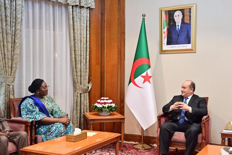 الوزير الأول يستقبل وزيرة البترول والمناجم والجيولوجيا لجمهورية تشاد