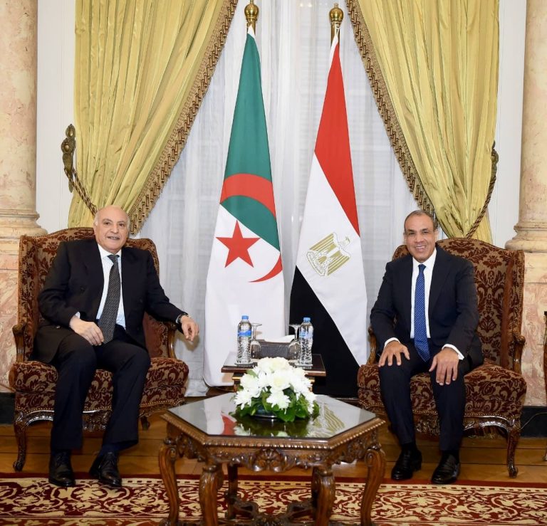 على هامش الدورة الثانية لمنتدى الشراكة الإفريقية-الروسية : عطاف يجتمع بالقاهرة مع نظيره المصري