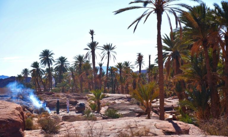 النعامة : انطلاق فعاليات المخيم الشتوي لنوادي التخييم و التجوال