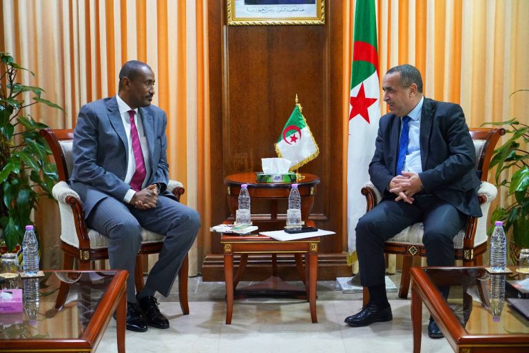 وزير الطاقة والطاقات المتجددة يستقبل المدير التنفيذي للّجنة الإفريقية للطاقة لتعزيز الشراكة القارية