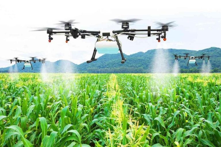 وزير الفلاحة ياسين مهدي وليد يدعو إلى مراجعة السياسات الفلاحية وتحقيق النجاعة الاقتصادية