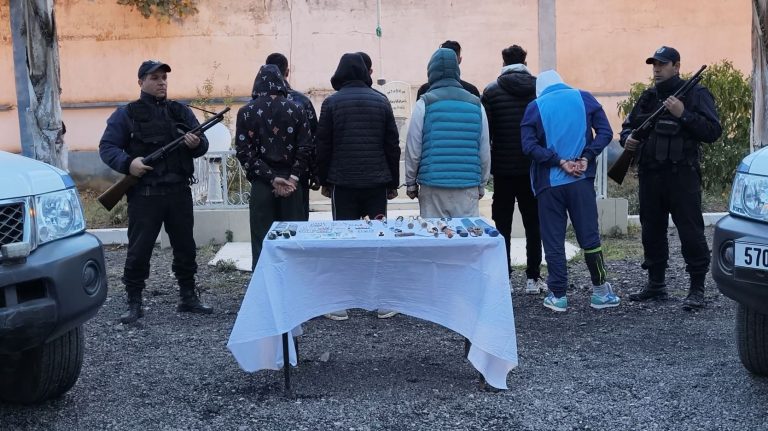 شرطة البليدة تنسق عمليات أمنية وتوقف عدة أشخاص بحوزتهم مخدرات ومؤثرات عقلية