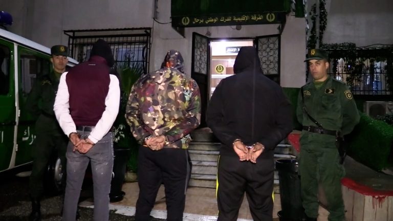 الدرك الوطني بعنابة يفكك شبكة إجرامية مختصة في سرقة المواشي ويسترجع رؤوس الأغنام المسروقة