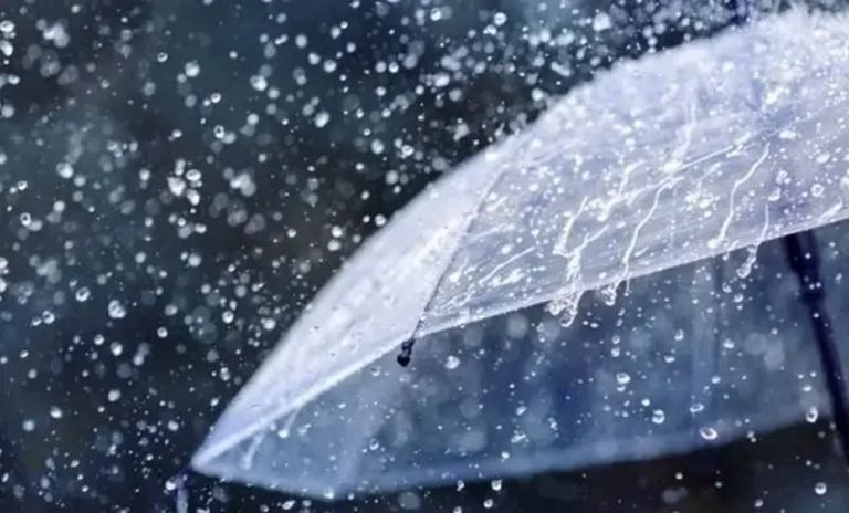 أمطار رعدية وزوابع على ولايات الجنوب