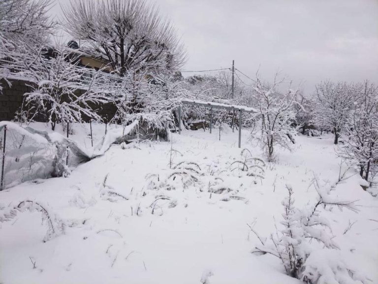 ثلوج على المرتفعات التي يزيد علوها عن 1000 متر