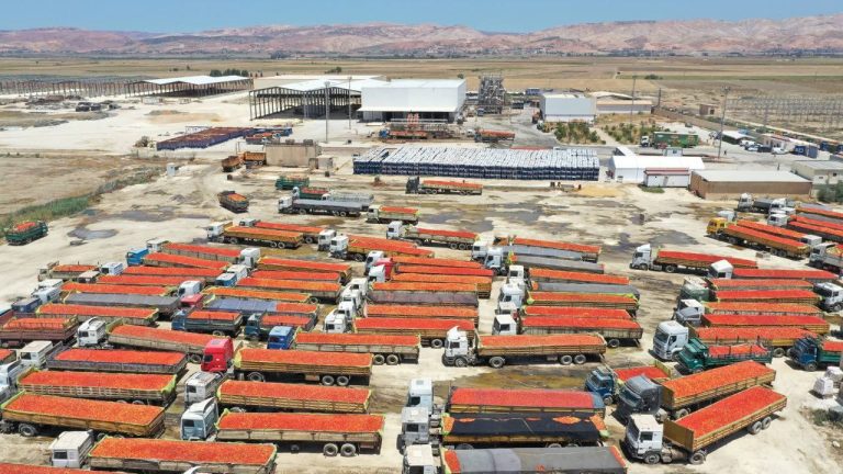 إطلاق قطب مخصص للصناعات التحويلية الغذائية بعين الدفلى لدعم الاستثمار والإنتاج الوطني