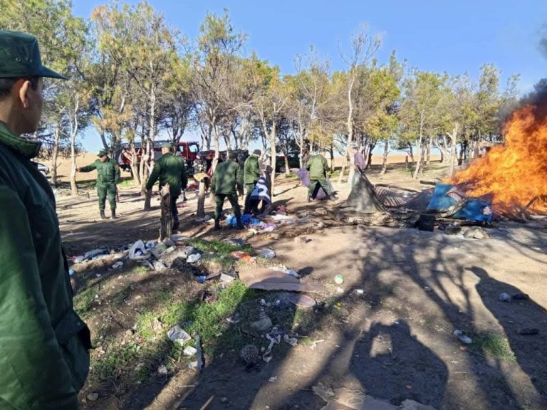 إخلاء مخيم غير شرعي في غابات العلمة بسطيف للمهاجرين المقيمين بطرق غير قانونية