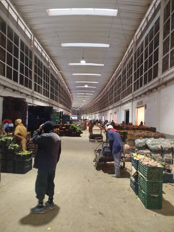 حركة تجارية نشطة ووفرة في المنتجات الفلاحية بسوق الجملة الجهوي بسيدي عبد المومن بالمحمدية ولاية معسكر