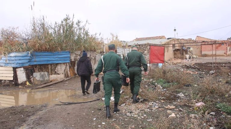 الدرك الوطني بخنشلة يطيح بشبكة سرقة المواشي