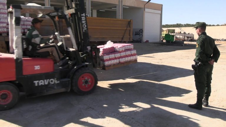 الدرك الوطني يوقف نشاط شركة تسوق ملحًا غذائيًا خارج المعايير