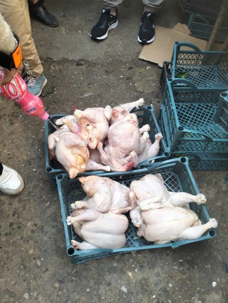 البليدة: حجز وإتلاف كميات كبيرة من اللحوم غير المطابقة للشروط الصحية