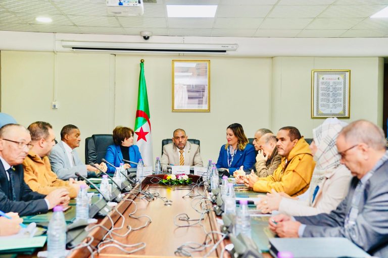 وزيرة الثقافة والفنون تقدم حصيلة قطاعها وخطط التطوير للفترة 2026-2028